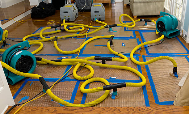Professional Flood Damage Restoration technician working in New Haven, IN